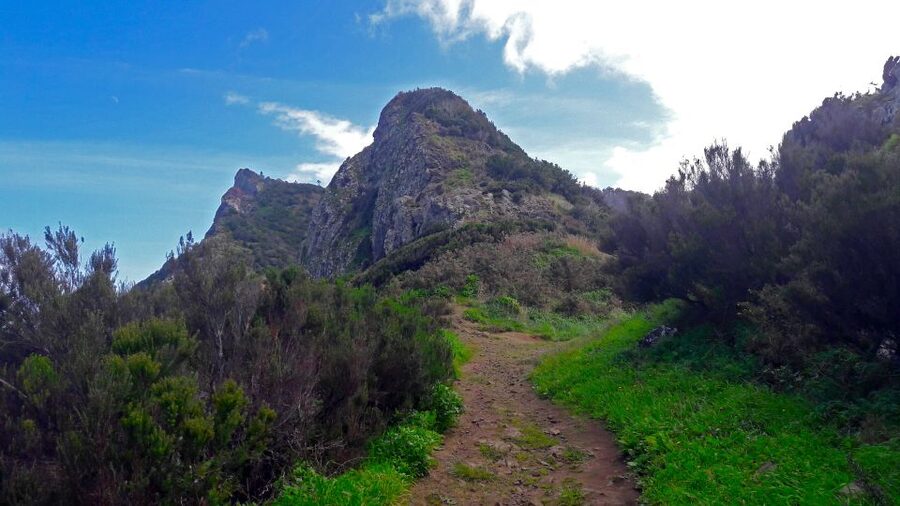 From Funchal: Machico to Porto da Cruz Larano Cliff Hike - The Larano Cliff and its open views