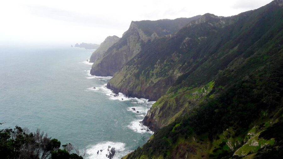 From Funchal: Machico to Porto da Cruz Larano Cliff Hike - The guide can make or break the day