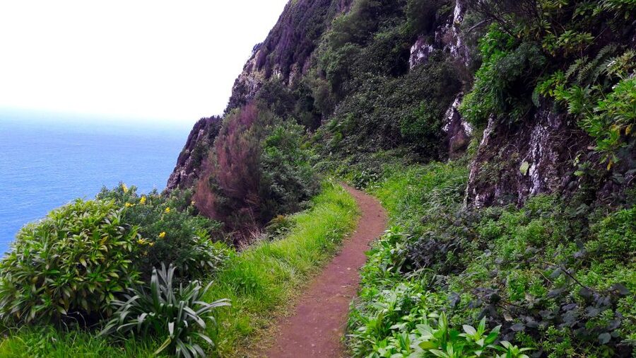 From Funchal: Machico to Porto da Cruz Larano Cliff Hike - Lunch, supplies, and what to wear