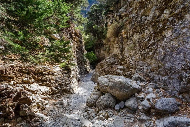 From Georgioupoli: Easy Hiking Day-Trip to Imbros Gorge - Key points to know before booking