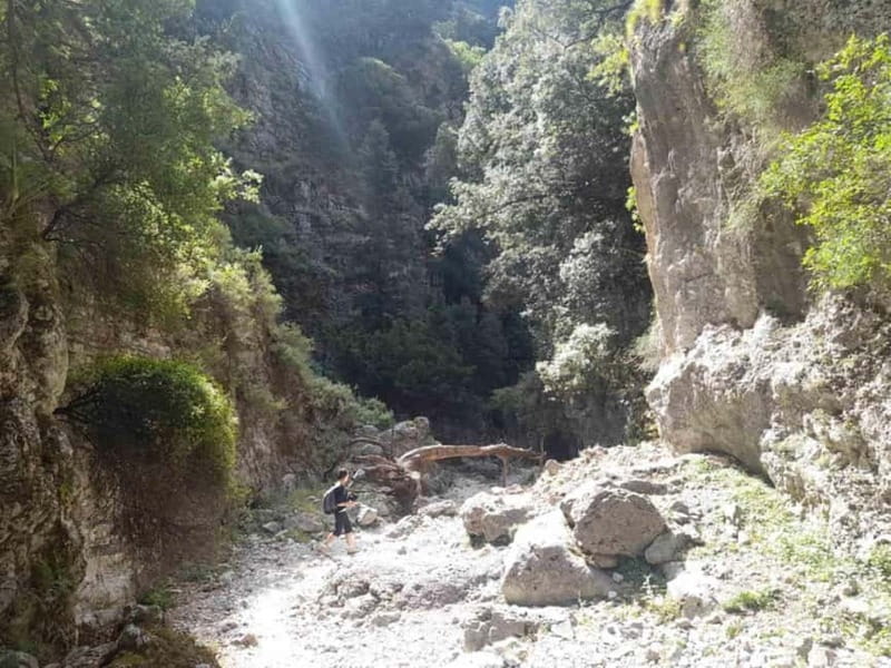 From Georgioupoli: Easy Hiking Day-Trip to Imbros Gorge - Who will enjoy this tour most?