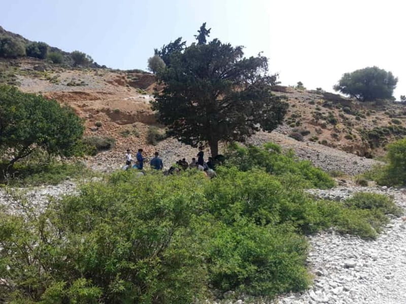 From Georgioupoli: Easy Hiking Day-Trip to Imbros Gorge - Small details that make the day work