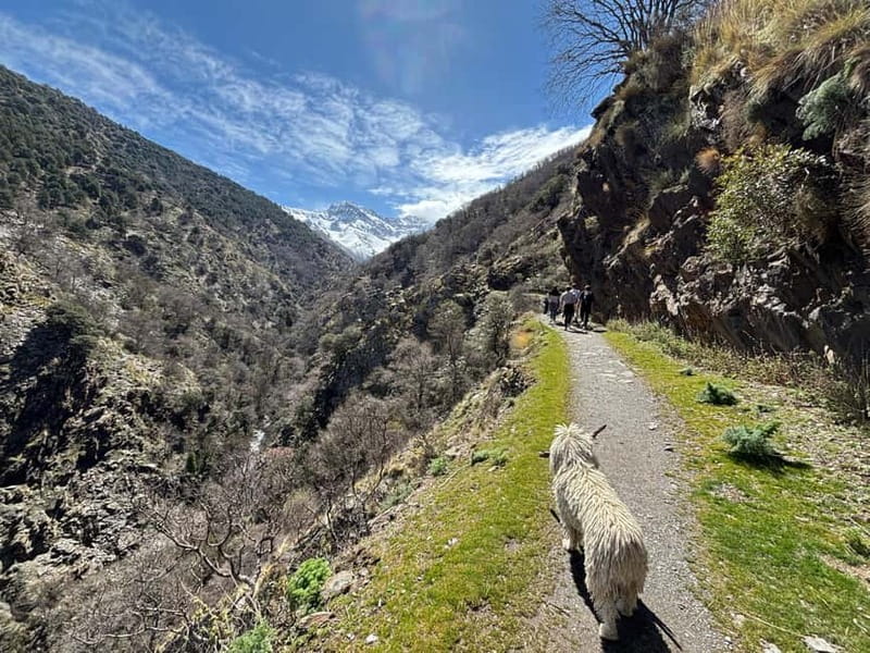 From Granada: High Sierra Nevada hiking experience - Leaving Granada for the high road