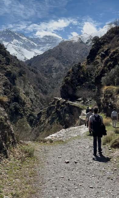From Granada: High Sierra Nevada hiking experience - Wildlife, plants, and the chance of silence