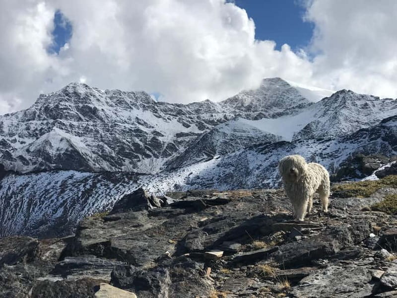 From Granada: High Sierra Nevada hiking experience - What Jaime adds to the day