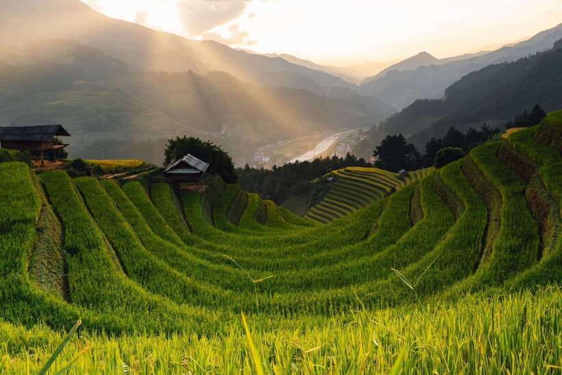From Hanoi: 1-day Sapa Trekking Tour With Overnight Bus - Y Linh Ho and the First Rice Terrace Views