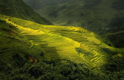 1-day Sapa Trekking Tour With Overnight Bus