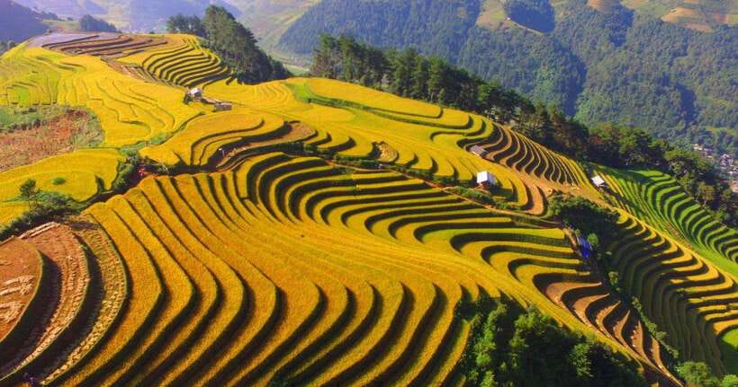 From Hanoi: 1-day Sapa Trekking Tour With Overnight Bus - Returning to Sapa and Hanoi