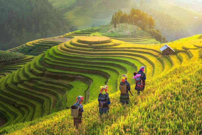 From Hanoi: 1-day Sapa Trekking Tour With Overnight Bus - What the $52 Price Really Buys
