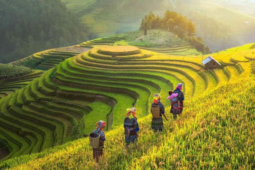 From Hanoi: 2-Day Luxury Sapa Trekking Tour with Homestay - Key points to know before booking