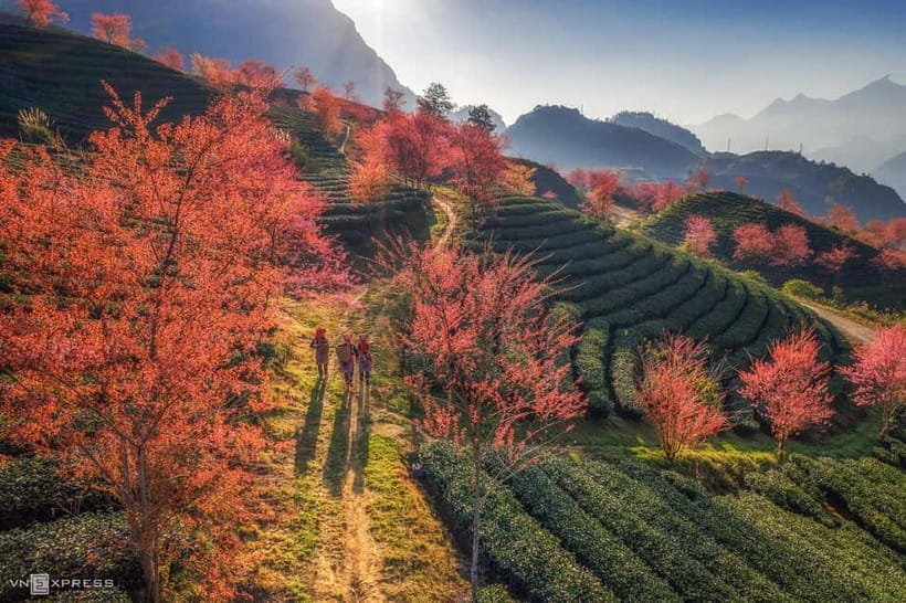 From Hanoi: 2-Day Luxury Sapa Trekking Tour with Homestay - The overnight ride from Hanoi to Sapa