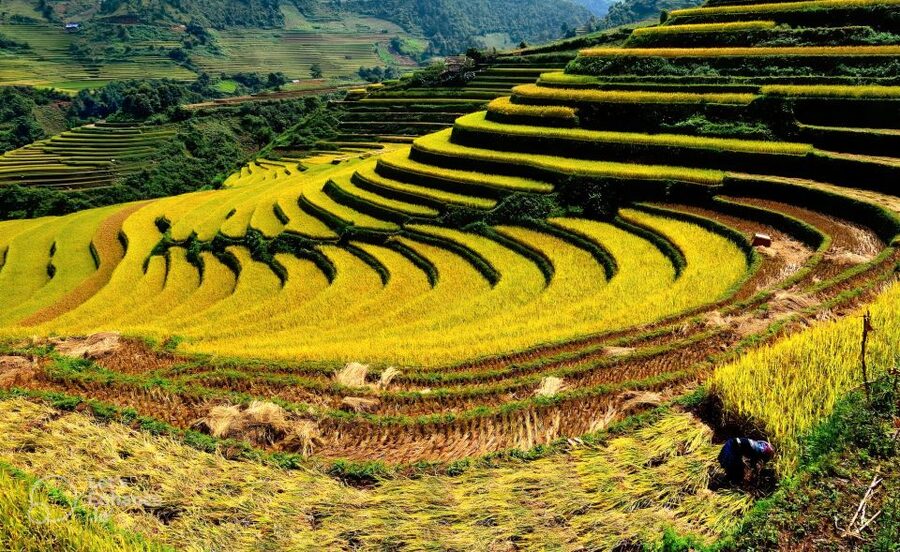 From Hanoi: 2-Day Sapa-Fansipan Peak & Trek & Ha Giang Bus - Taking the cable car to Fansipan