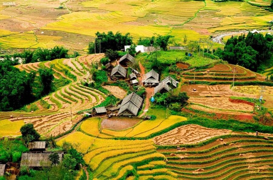 From Hanoi: 2-Day Sapa Trekking Trip with Homestay & Meals - Walking through Y Linh Ho, Lao Chai, and Ta Van