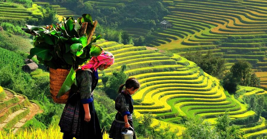 From Hanoi: 2-Day Trekking To Villages In Sapa with Homestay - Why This Sapa Trip Works Well in Two Days