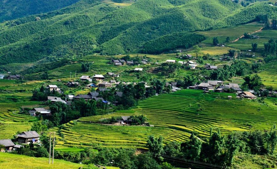 From Hanoi: 2-Day Trekking To Villages In Sapa with Homestay - Walking Through Lao Chai and the Muong Hoa Valley