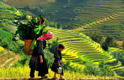 2-Day Trekking To Villages In Sapa with Homestay