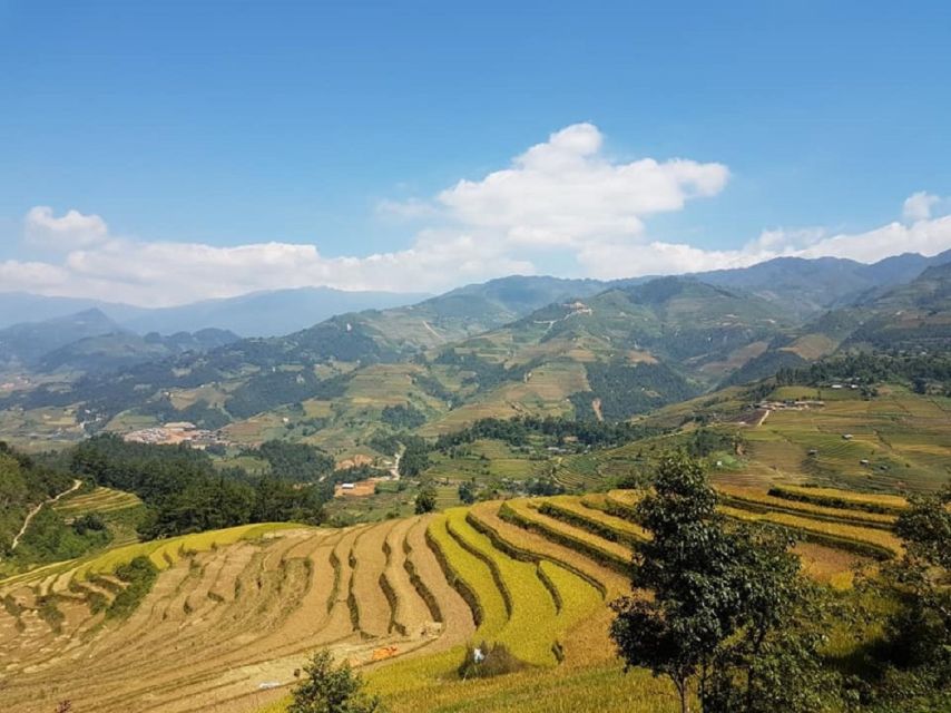 From Hanoi: 2-Day Trekking To Villages In Sapa with Homestay - Is $84 Good Value?