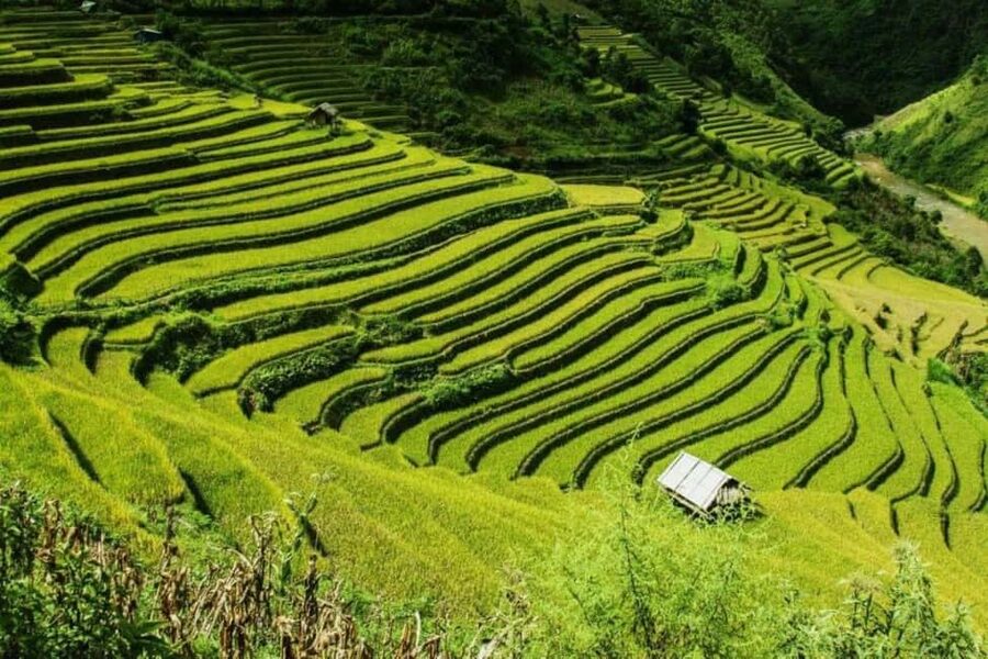 From Hanoi: 2-Days Sapa Trekking Tour Lao Chai and Cat Cat - Key points to know before booking