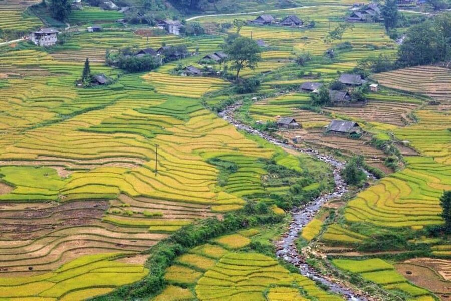 From Hanoi: 2-Days Sapa Trekking Tour Lao Chai and Cat Cat - Why this short Sapa trip works
