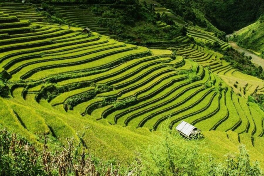 From Hanoi: 2-Days Sapa Trekking Tour Lao Chai and Cat Cat - Day one: Cat Cat village and the waterfall walk