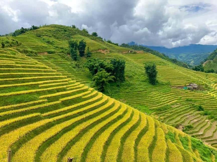 From Hanoi: 2-Days Sapa Trekking Tour Lao Chai and Cat Cat - Your evening in Sapa Town