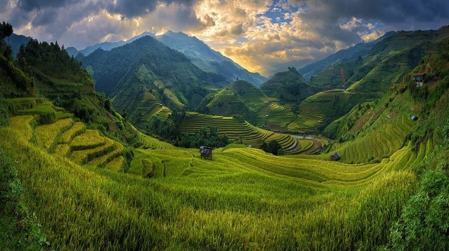 From Hanoi: 3-Day Sapa Trekking with Limousine Transfer - Day 2: Lao Chai, Ta Van, Y Linh Ho, and Ban Ho