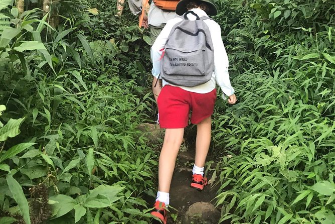 From Hanoi: 3 Days Luxury Sapa Trek & Fansipan Peak with Dcar - Why weather matters at Fansipan