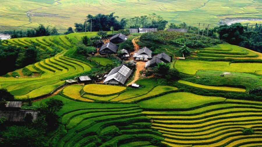 From Hanoi: Sapa 3-Day Medium Trek and Limousine Trip - Day one: lunch in Sapa and the Sin Chai walk