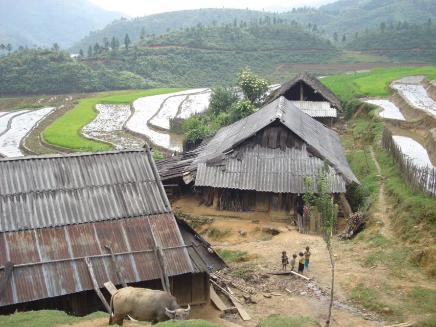 From Hanoi: Sapa 3-Day Medium Trek and Limousine Trip - Day three: bamboo forest, waterfall, and Giang Ta Chai