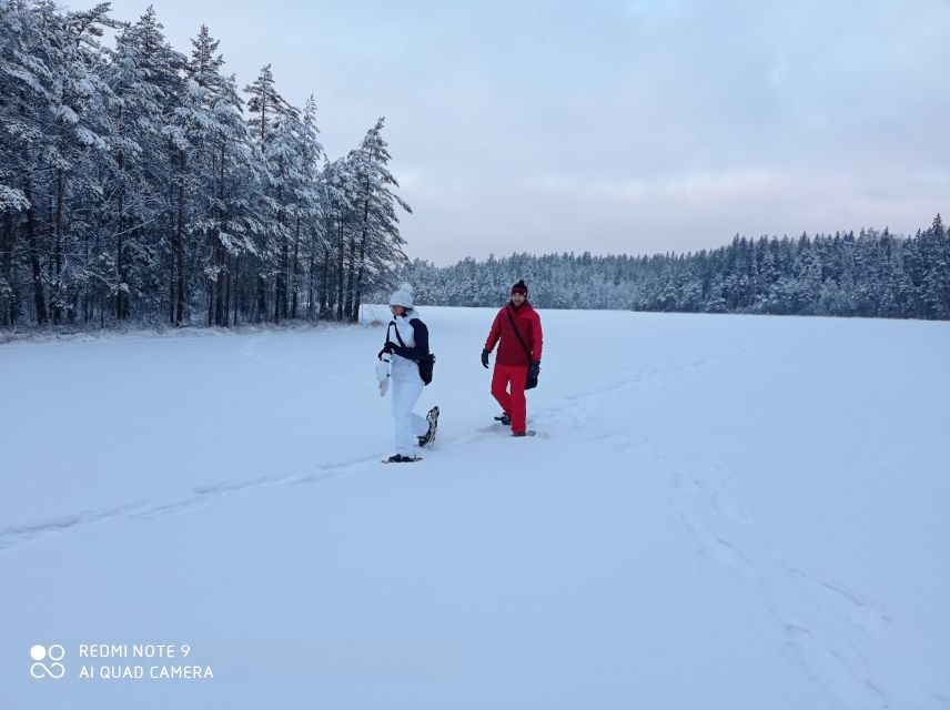 From Helsinki: Nuuksio National Park Hiking Tour with Food - Why Nuuksio works so well as a Helsinki day trip