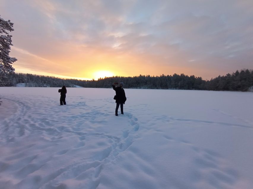 From Helsinki: Nuuksio National Park Hiking Tour with Food - Summer and autumn bring berries, mushrooms, and swimming
