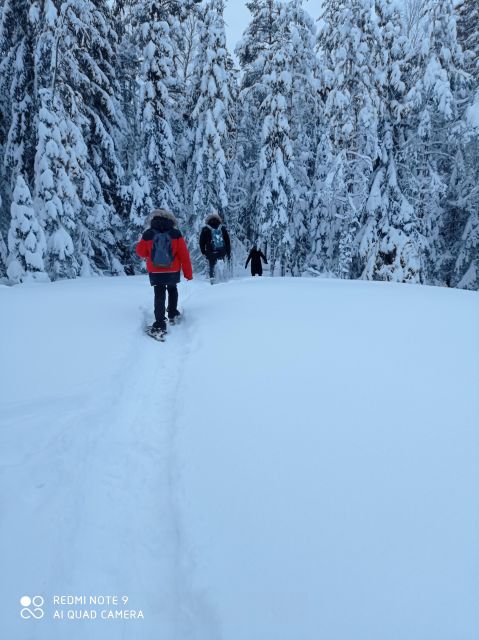 From Helsinki: Nuuksio National Park Hiking Tour with Food - The laavu meal is more than a snack break