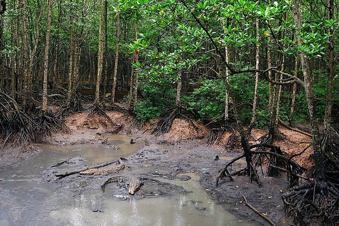 From Ho Chi Minh: Can Gio Trek – Monkey Island & Crocodile Farm - Monkey Island and its bold residents