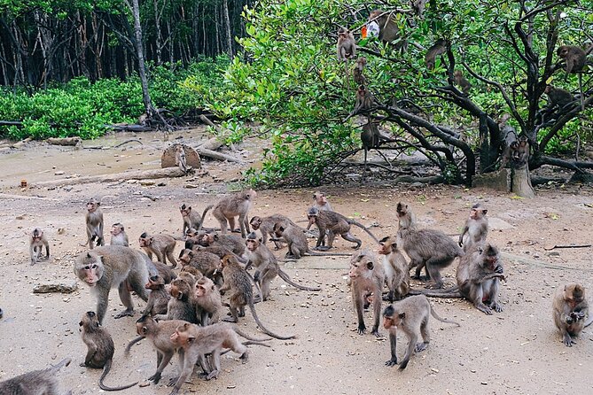From Ho Chi Minh: Can Gio Trek – Monkey Island & Crocodile Farm - The optional boat ride: understand what you are buying