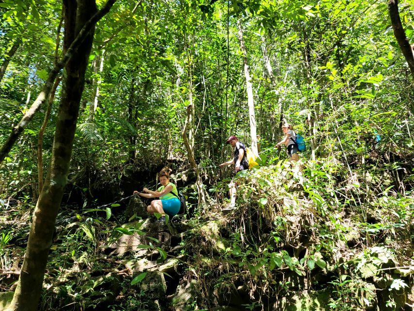 From Hue: Bach Ma National Park Hiking Day Trip with Pickup - Reaching Do Quyen Waterfall by a rougher trail