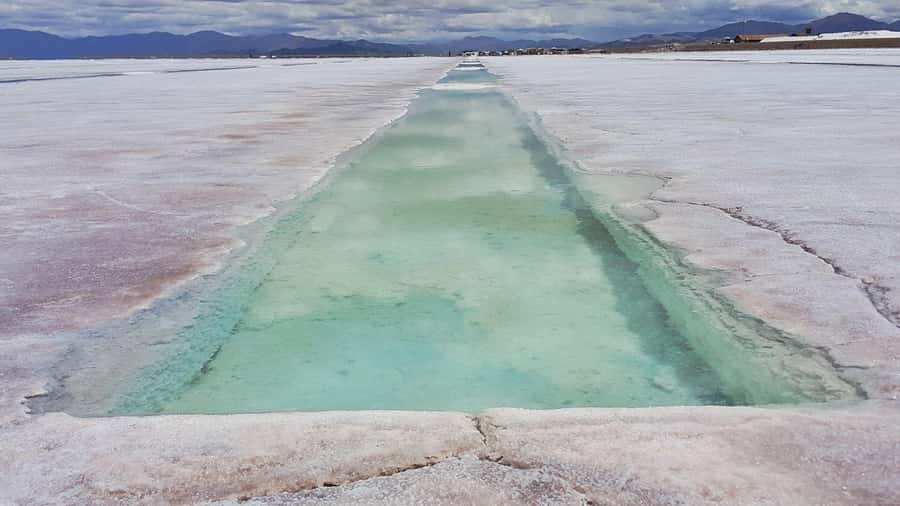 From Jujuy: Salinas Grandes, Purmamarca & Los Colorados Hike - The climb through Cuesta del Lipán and Abra de Potrerillos