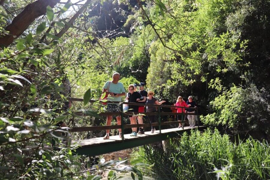 From Kalamata: Polylimnio Waterfalls Guided Hiking Tour - How the guide affects the day