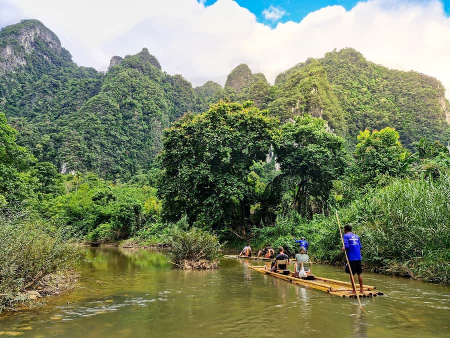 From Khao Lak: Khao Sok Jungle Hike & River Tour - The rainforest walk: wildlife rewards the patient