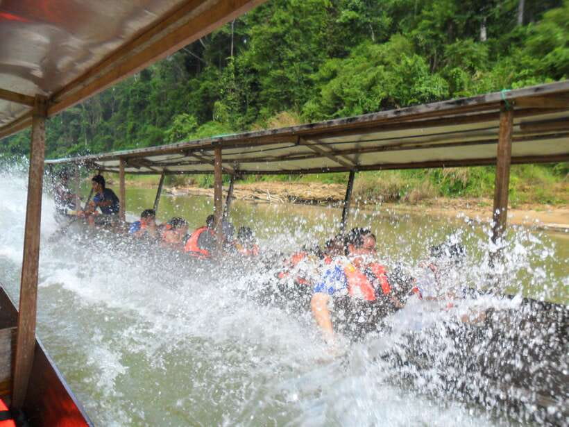 From Kuala Lumpur: Taman Negara National Park Trek Day Tour - Key points before you book