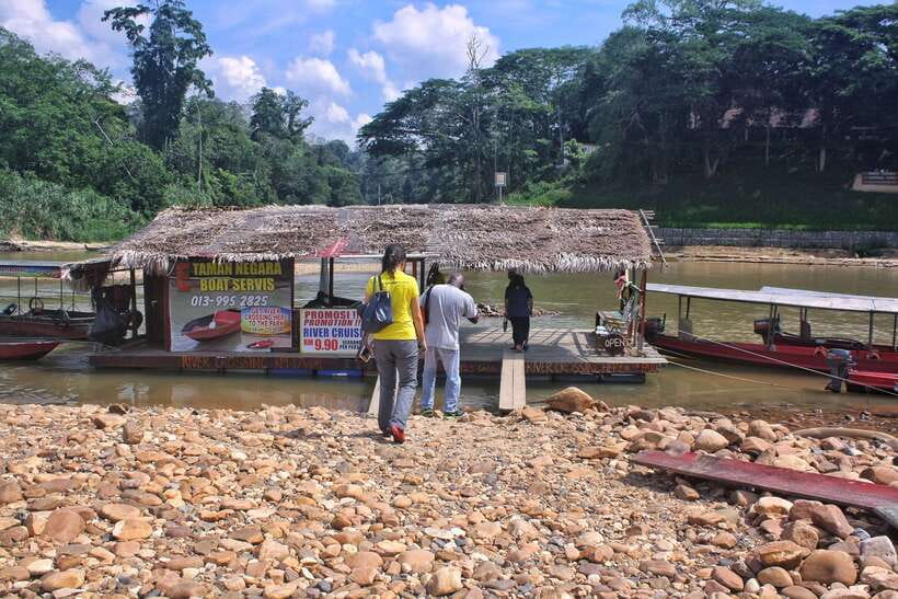 From Kuala Lumpur: Taman Negara National Park Trek Day Tour - A very long day from Kuala Lumpur