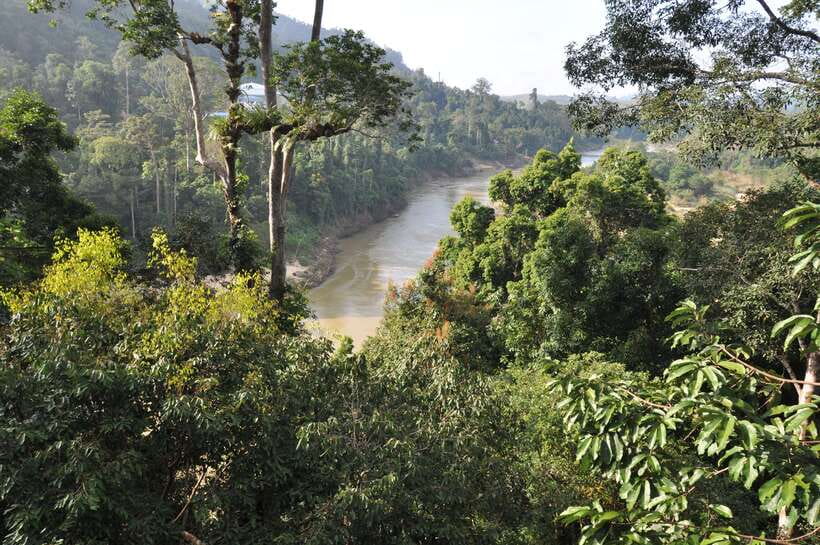 From Kuala Lumpur: Taman Negara National Park Trek Day Tour - The three-hour climb to Teresek Hill