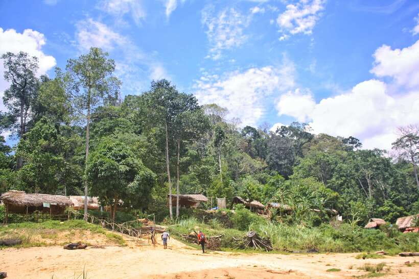 From Kuala Lumpur: Taman Negara National Park Trek Day Tour - What the $177 price really covers