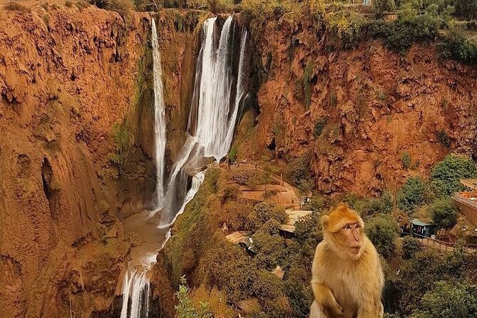From Marrakech: Ouzoud Waterfalls Guided Hike and Boat Trip - The Descent to the Valley Floor