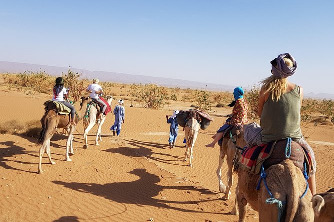 From Marrakech: Private Tour to Oasis and Trekking in the Desert of Erg Chigaga - Guides, driving, and the human side of the trip