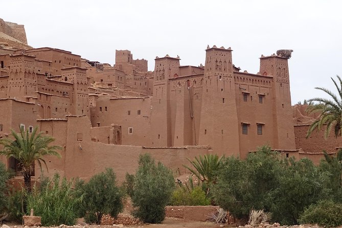 From Marrakech: Private Tour to Oasis and Trekking in the Desert of Erg Chigaga - Who should book this experience?