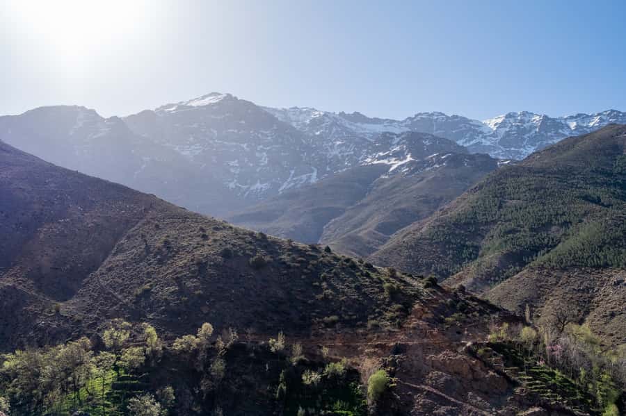 From Marrakesh: Atlas Mountains Talamrout Summit Day Hike - Five Things to Know Before You Go