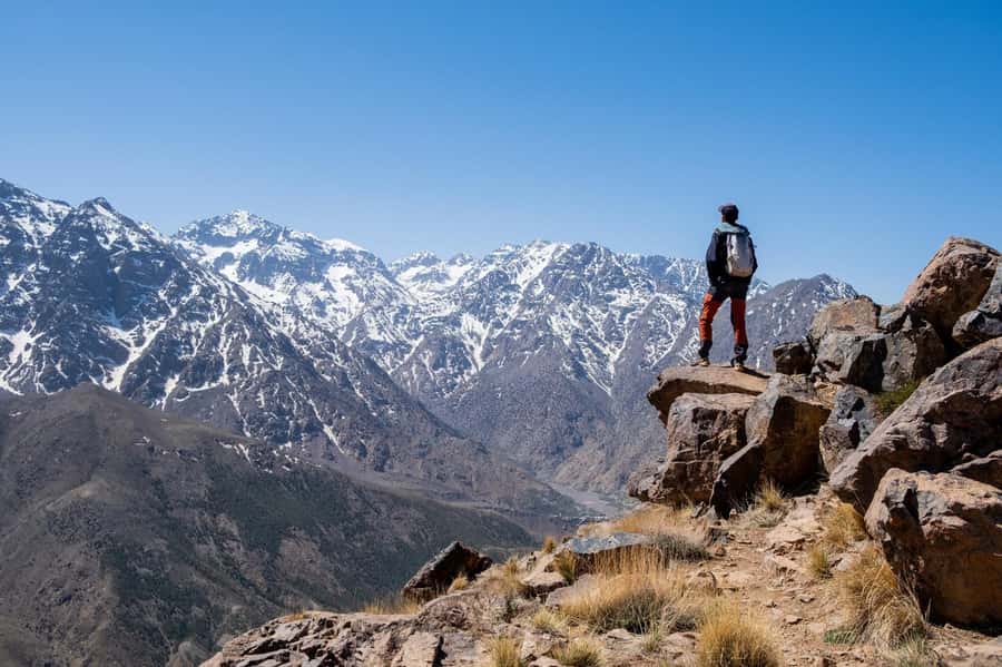 From Marrakesh: Atlas Mountains Talamrout Summit Day Hike - Why This Is One of Marrakesh’s Better Day Trips