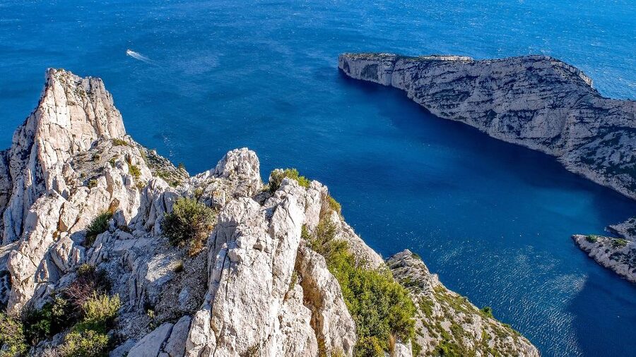 From Marseille: Calanques National Park Guided Hike - Pine woods, rosemary, and the first views