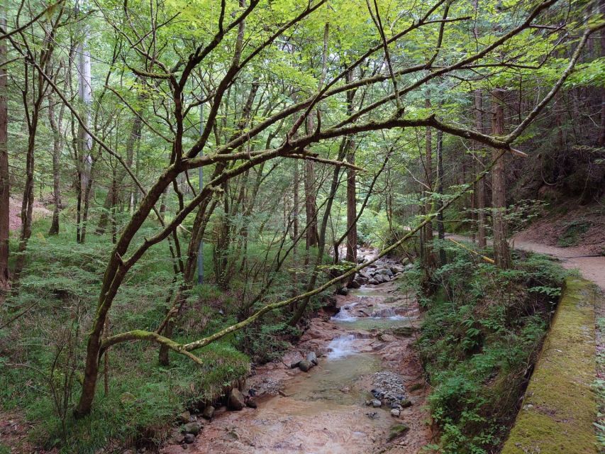 From Matsumoto/Nagano: Nakasendo Trail Walking Tour - The real cost of the long bus ride