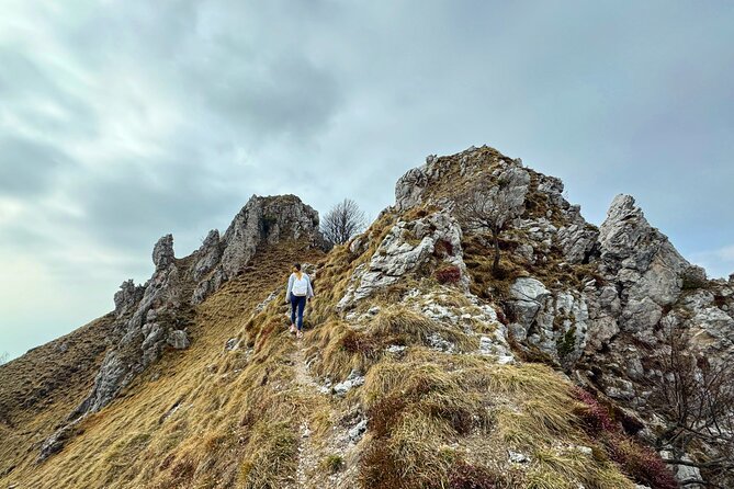 From Milan/Como/Varenna: Panoramic Hiking Tours near Lake Como - What the guides add to the experience